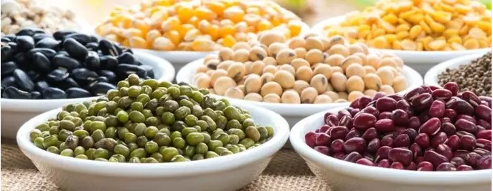  Чем заменить мясо: идеи и предложения 