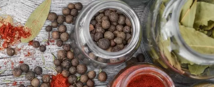 Жиросжигающие специи: узнаем, что они из себя представляют