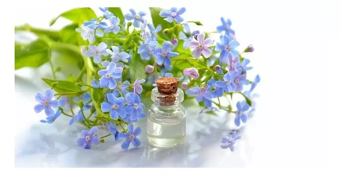 Ароматерапия: что это такое и какие эфирные масла выбрать