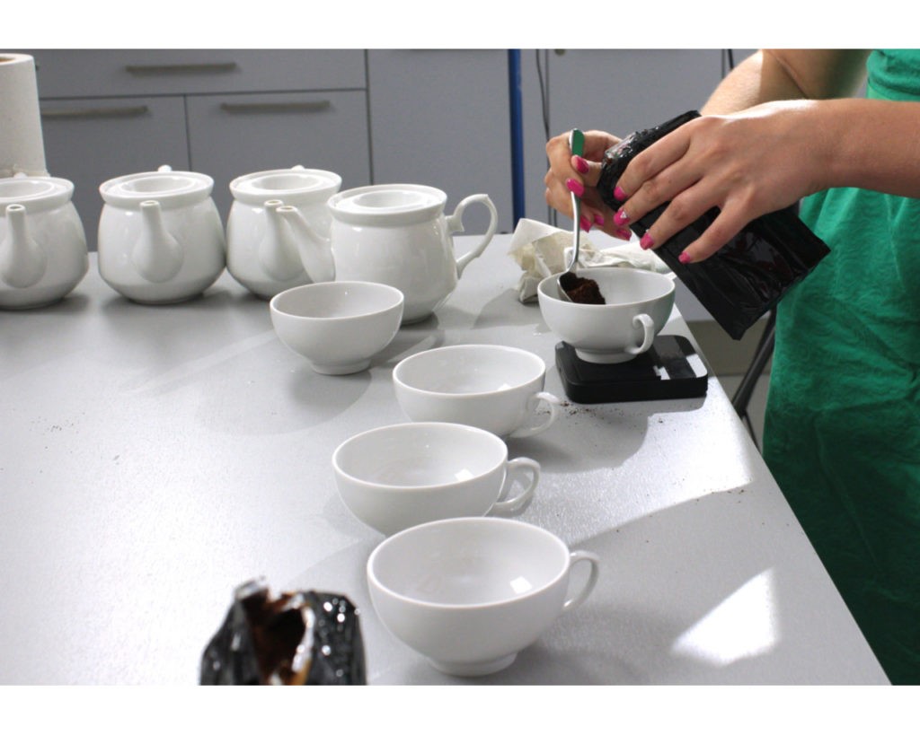 Дегустация кофе: основы домашнего каппинга