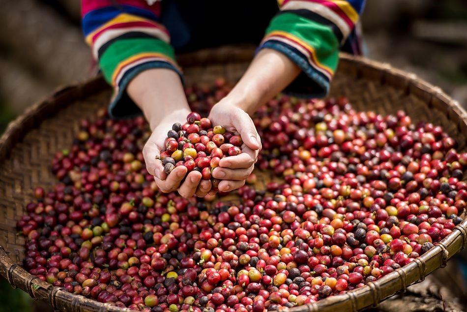 Спешелти кофе безупречный вкус 2.jpg