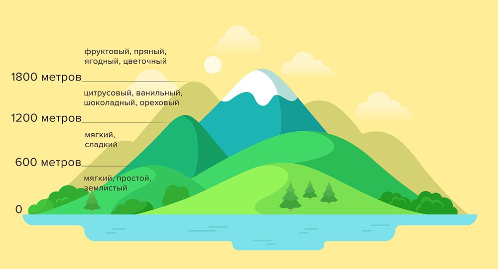 Кофейная этикетка: что скрывают условные обозначения