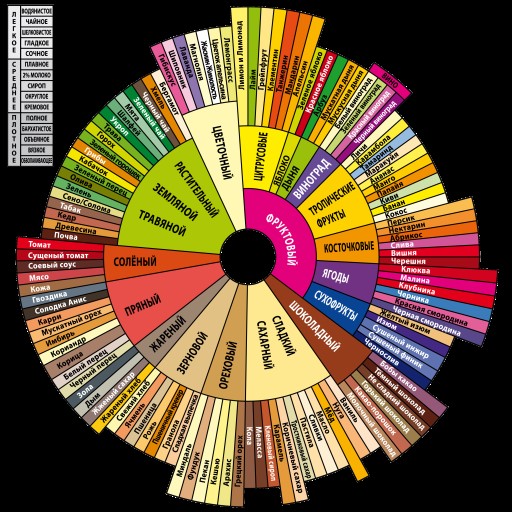 Дегустация кофе: основы домашнего каппинга