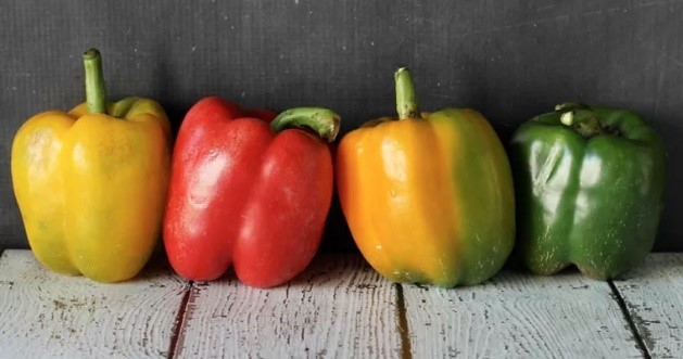 Продукты для идеального загара