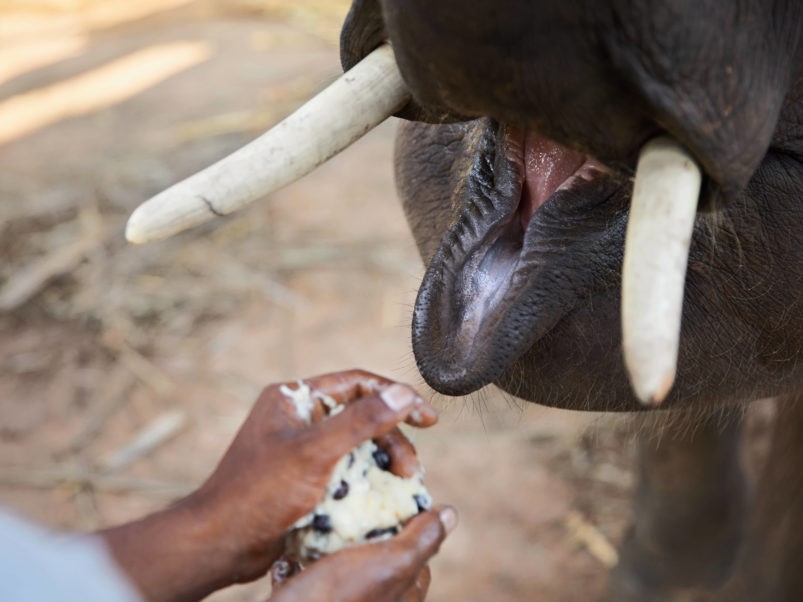 Неизвестный кофе: 5 удивительных фактов